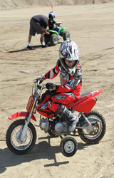 Pala016